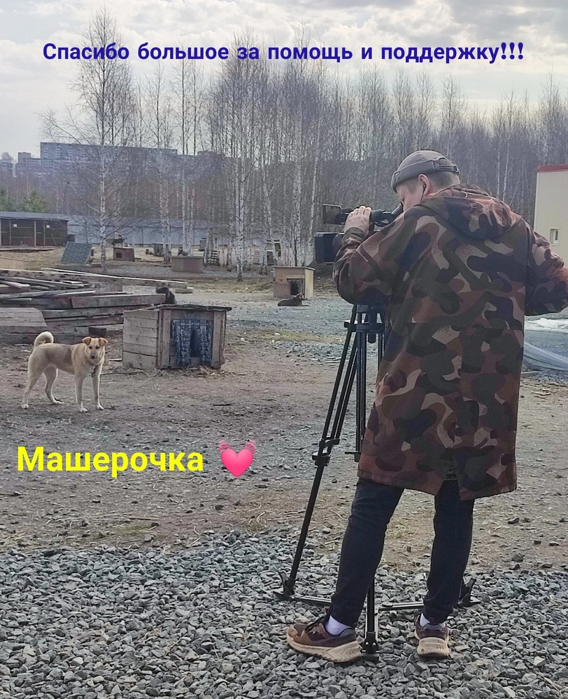 XniZgE4zjmA.jpeg