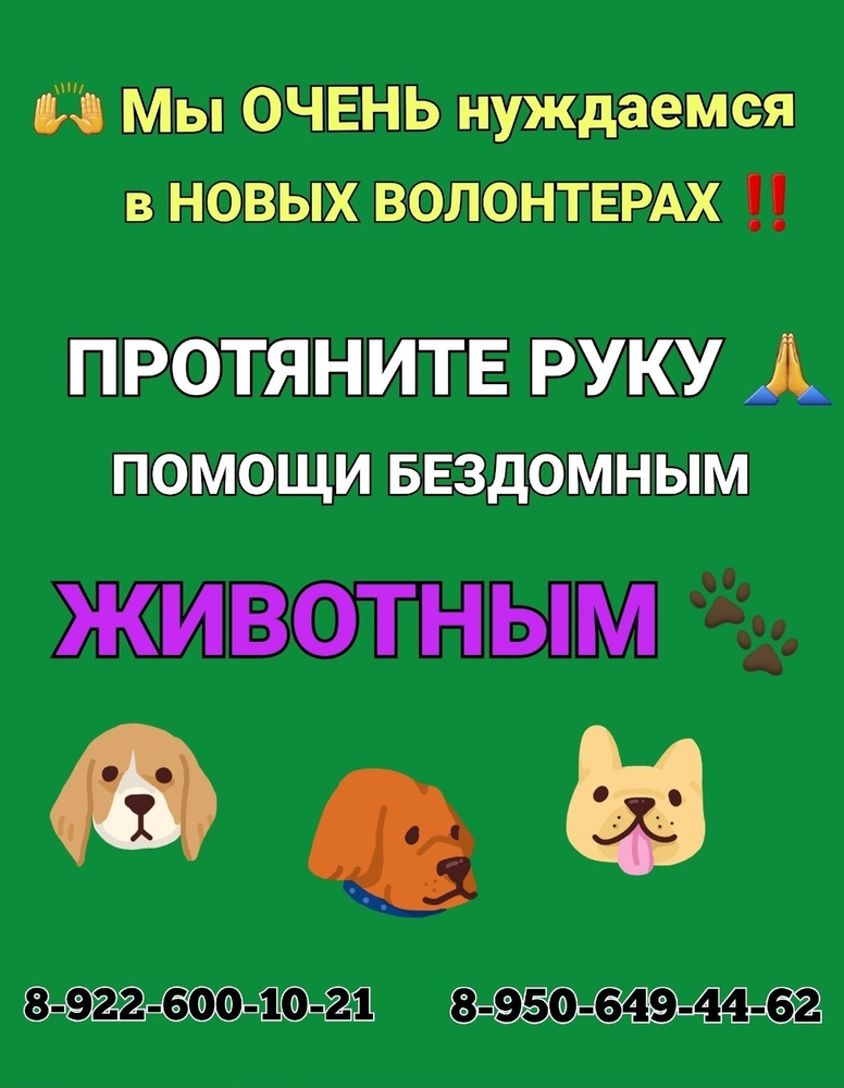 aCSxQ0czqiY.jpeg