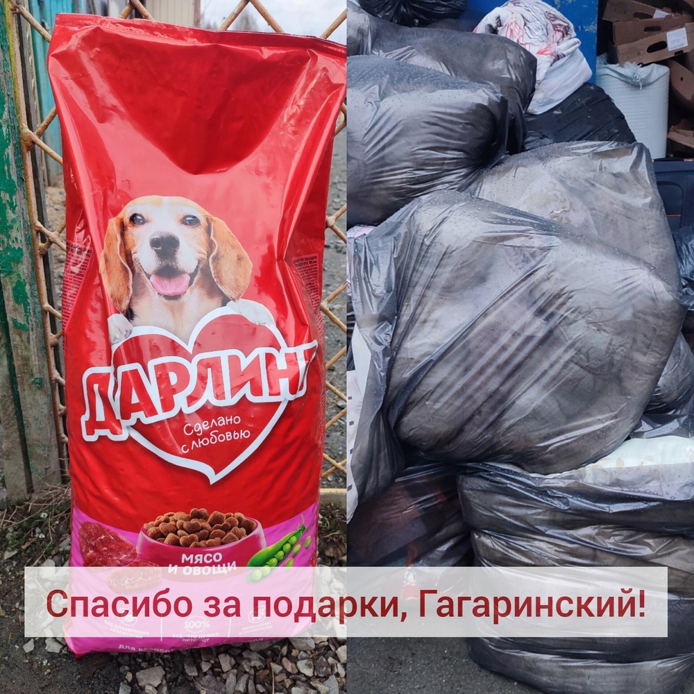 8PrK_HuGueg.jpeg