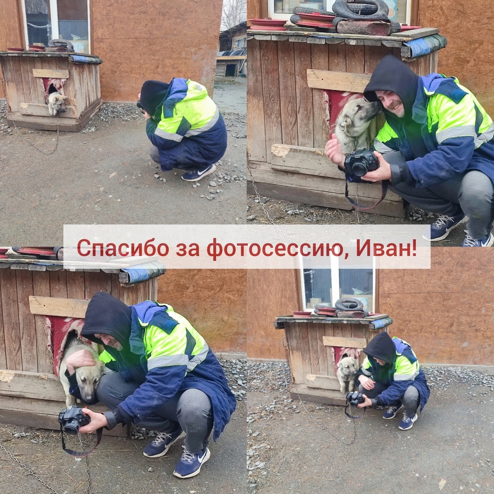9sQfwdLRHOg.jpeg