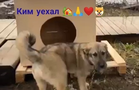 KYoEq9f0AzM.jpeg
