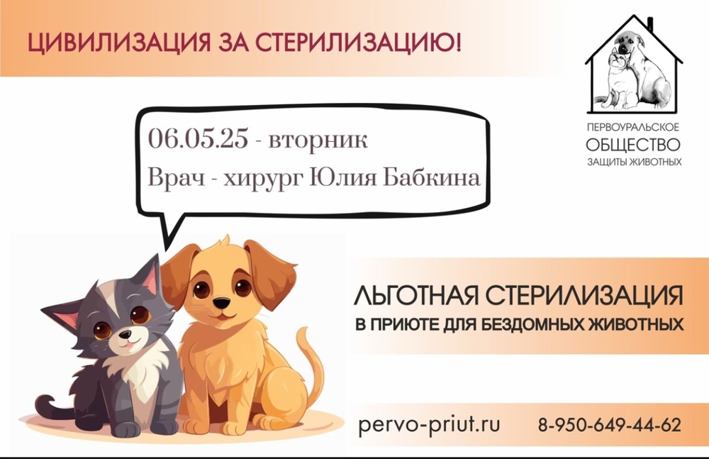 zmf2YYiwA6k.jpeg