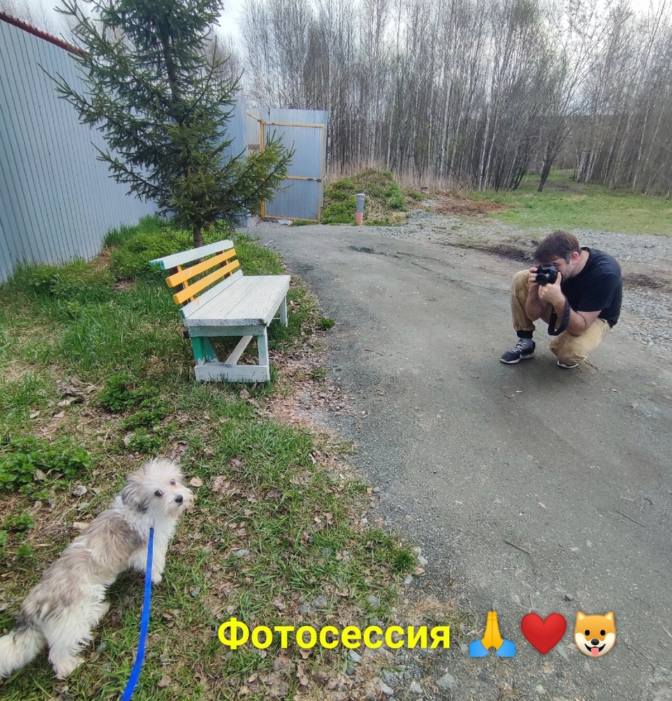 WteSKt5URq4.jpeg