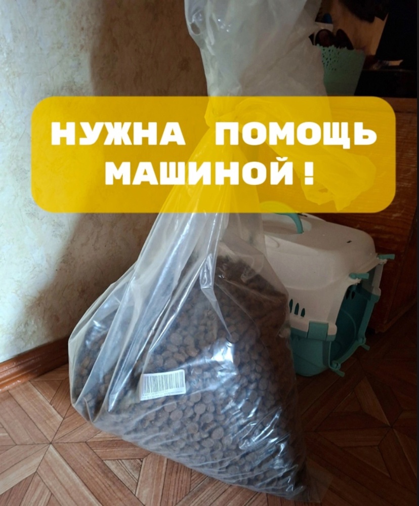 1BOHXz0qY04.jpeg