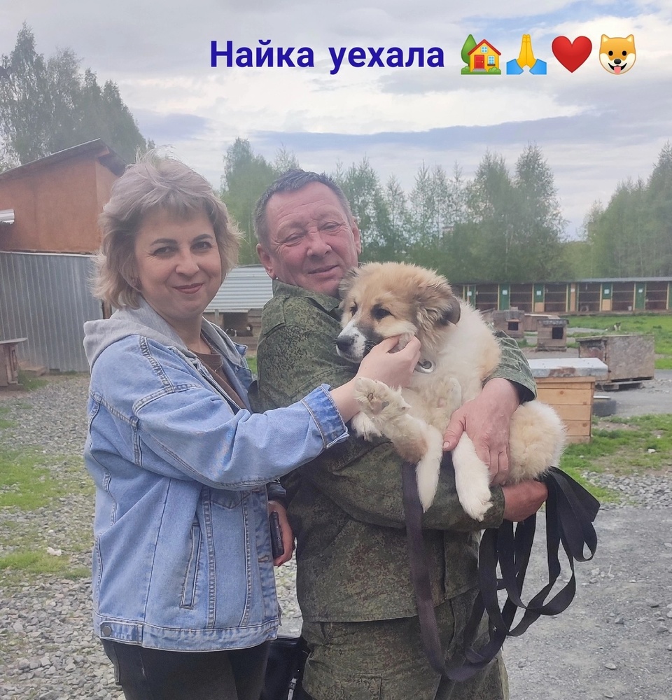 kvlgZiKUZfs.jpeg