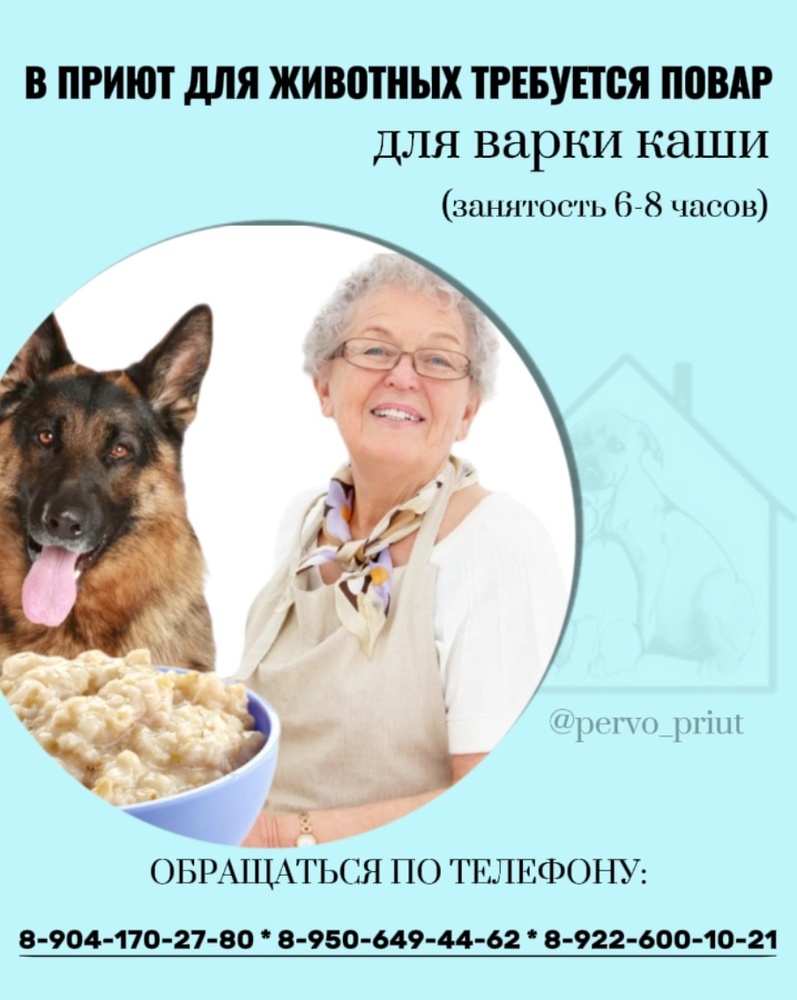 6vcQ6CcXAOY.jpeg