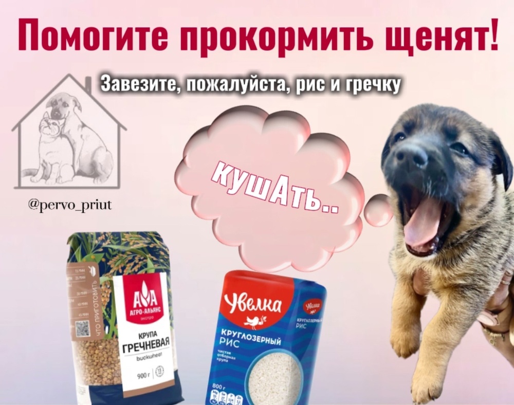 bHedYhy6frE.jpeg