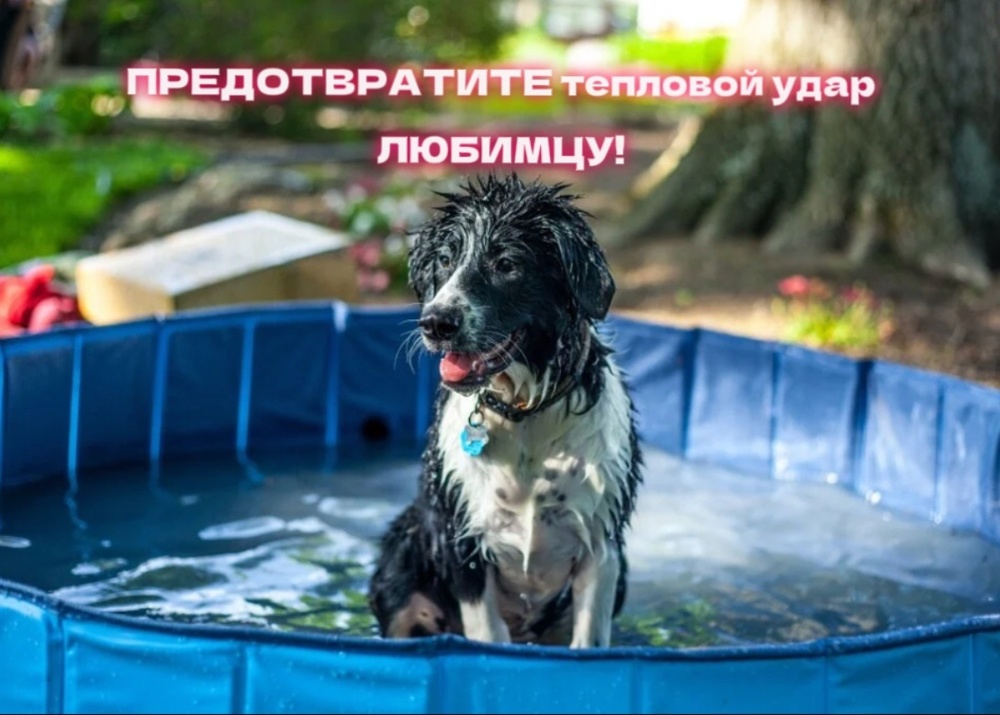 QDvZVDQ5oK8.jpeg
