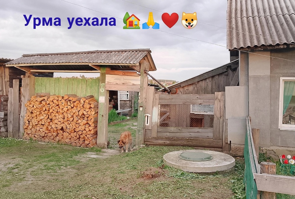 HAwRuNvf9Ho.jpeg