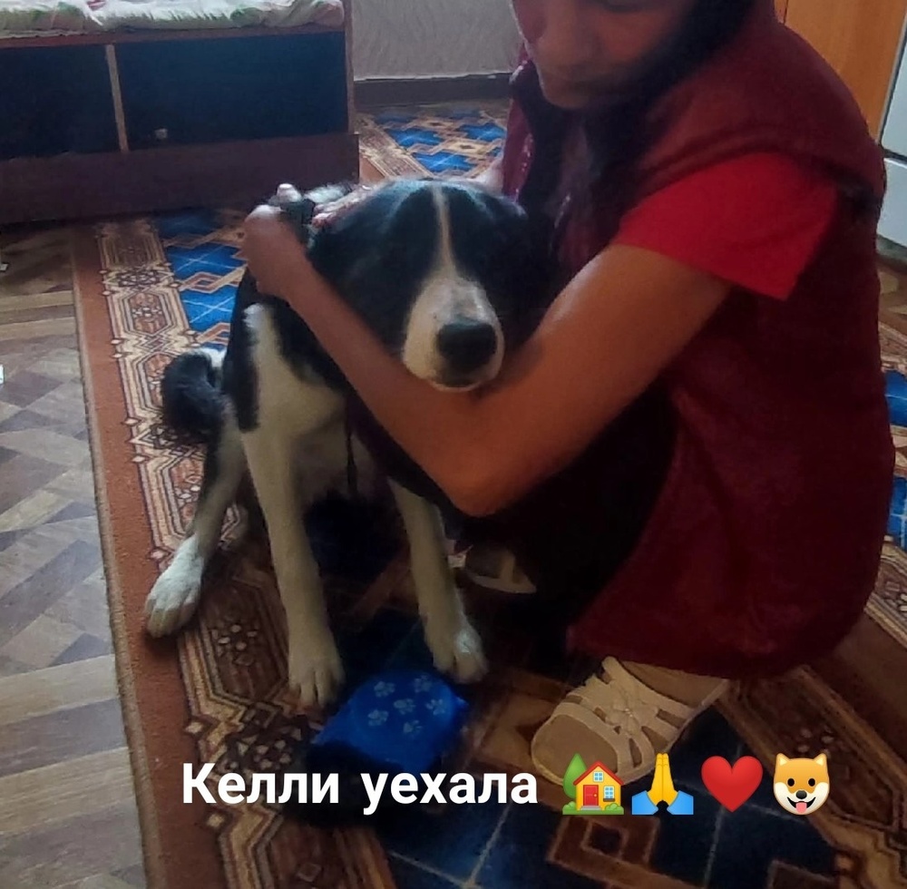 koLtEmWGi3DIu5cQyueLwUOnRtnu2A11ymVhdPAi
