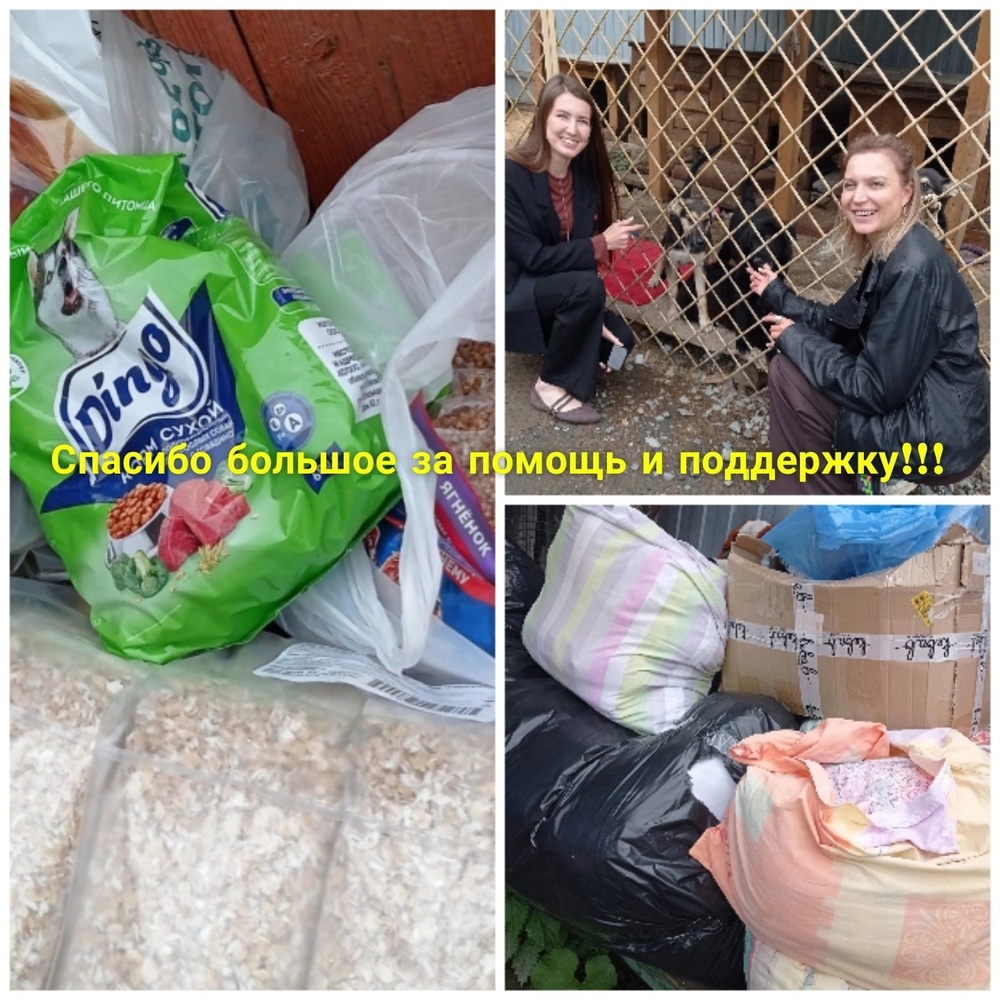 MzKe4RQN0A0tSSP4Qir4YWcaeYuMVsaR72ln9ALx