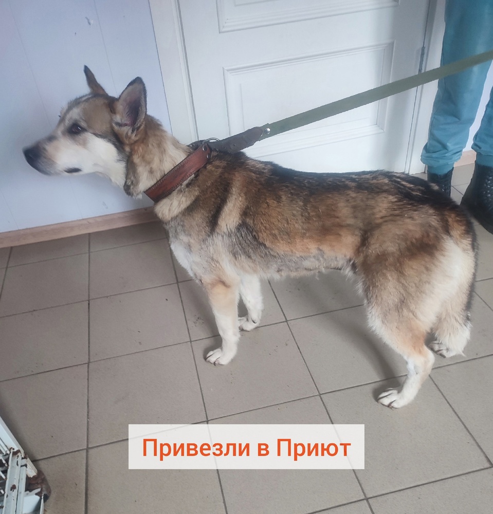 Ld2673bFKmbG_He8vH3WMRZgzUuvYcr8rSD-SkkH