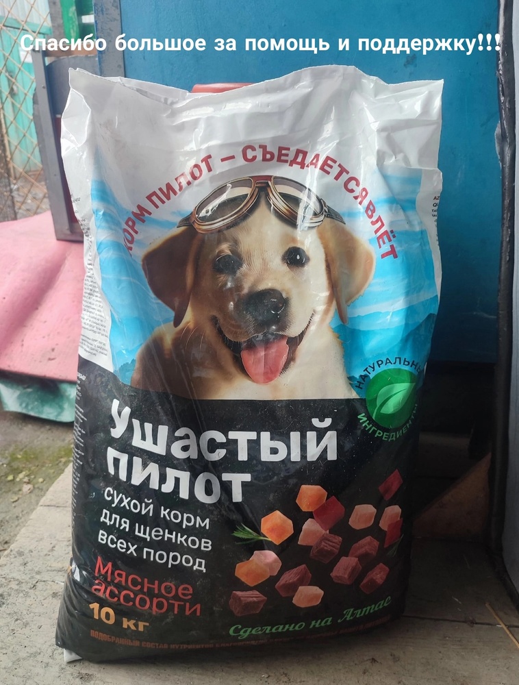 XRrQKL0LtiuP3f5Q2PJtcrwu3y_lvwV1mN0DAS8W