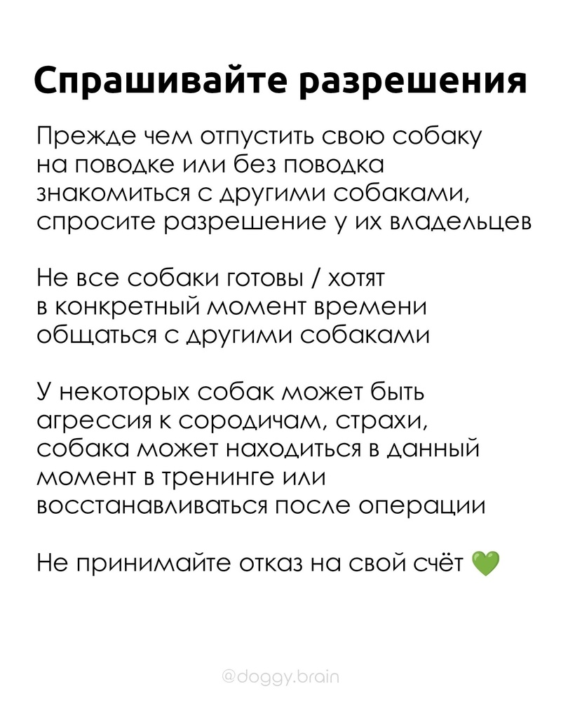 KEchqWMsDzNwClrvlt2XadtDsoP1fTO2pVC29bBu