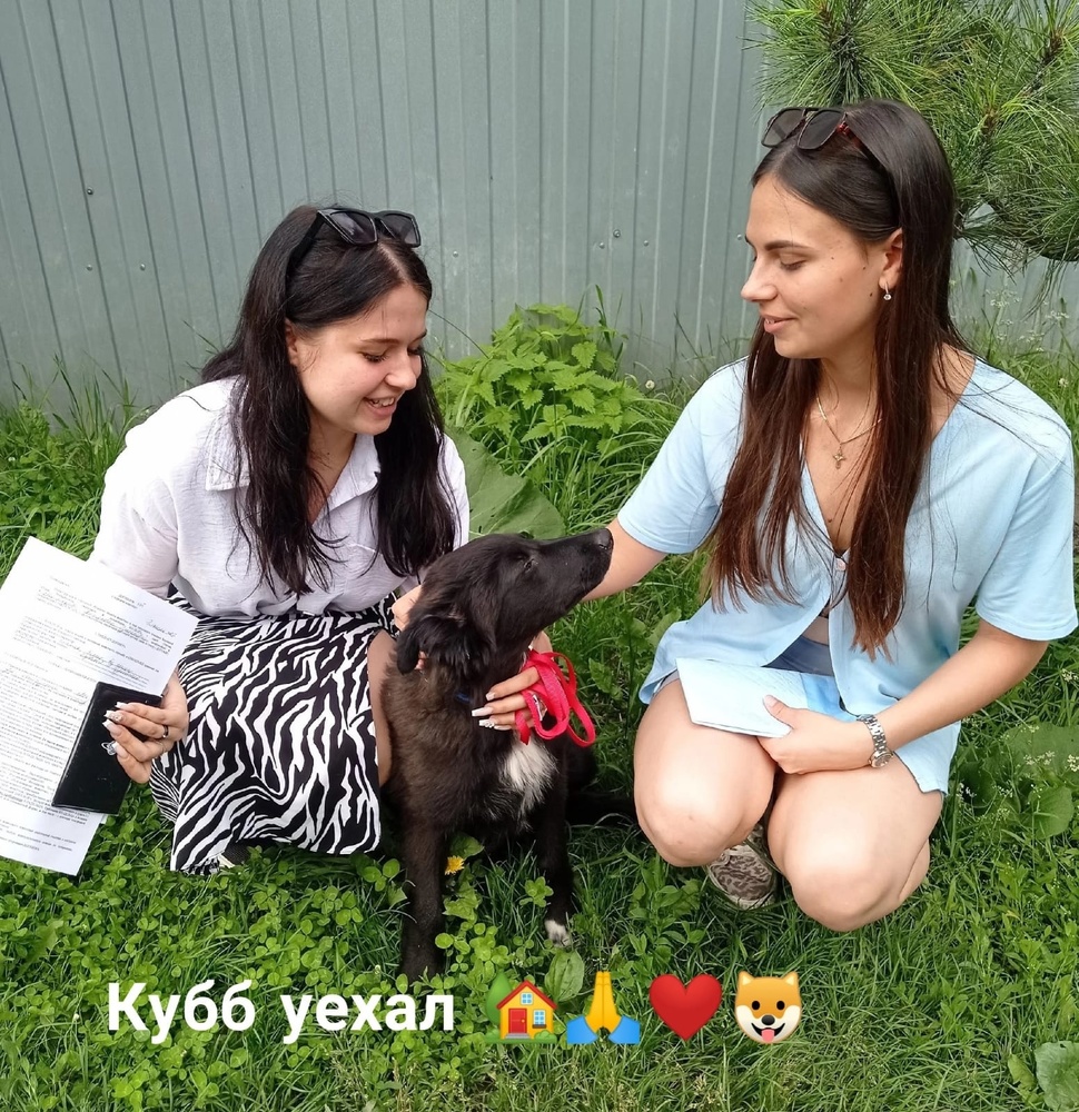 XbW55XGK85v-9LXgIvHN3yhsjGTkxQaNMEmy8nuk