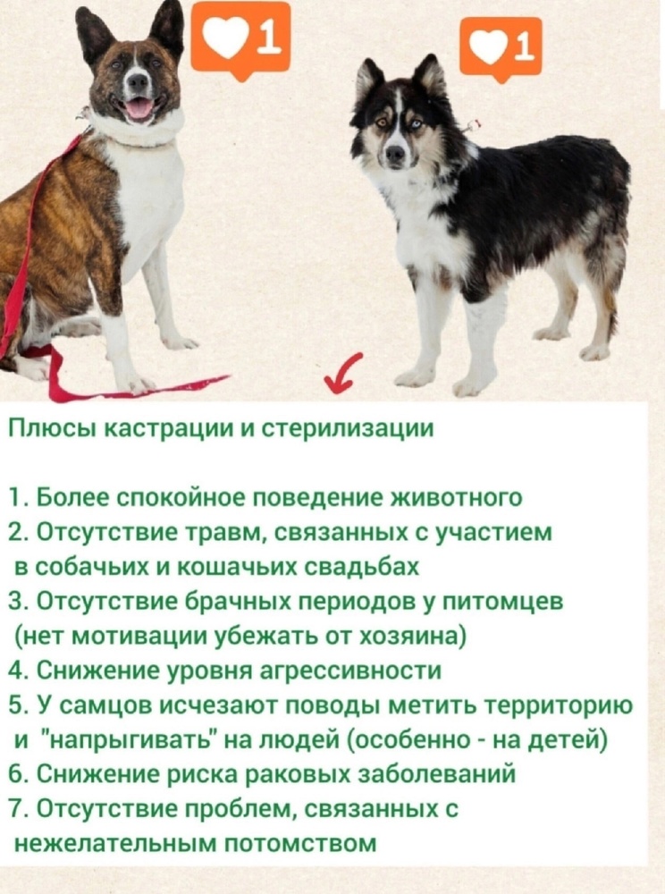y8fg821FtrGj3rM-lhHH9lJDnKWN-9GmiD-HbNrH