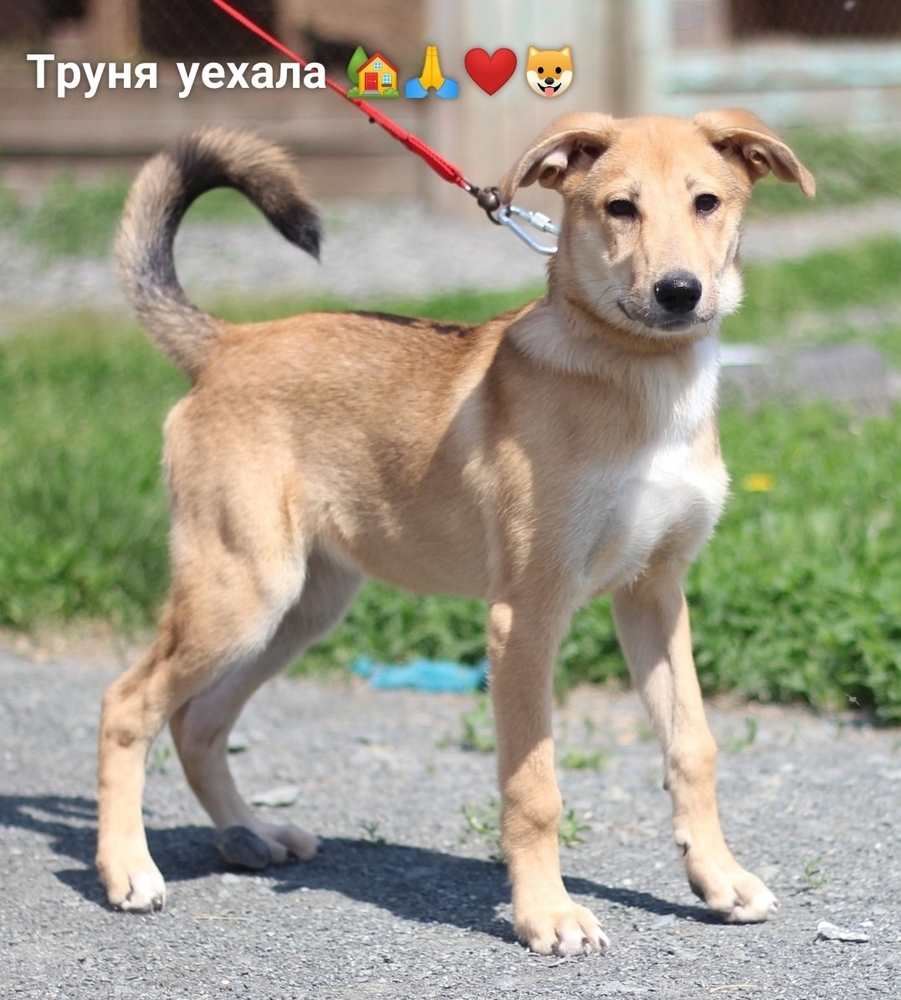 6fv8nEa6sqgZFn9n_3yAq7KySG7KfTHcxVPBea0E