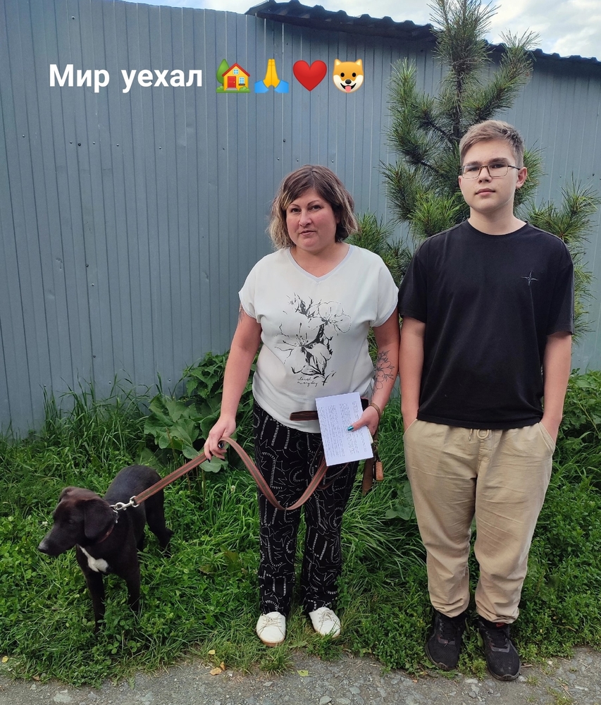 67J-XU_waYOCc2XgvOlgXNTi0TqpzviffD9SxQFX