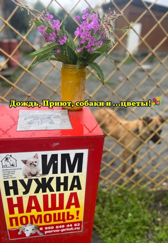 sdTQfiSTH7UBj0K3cRDtSGgoRUMpUi04c32o311m