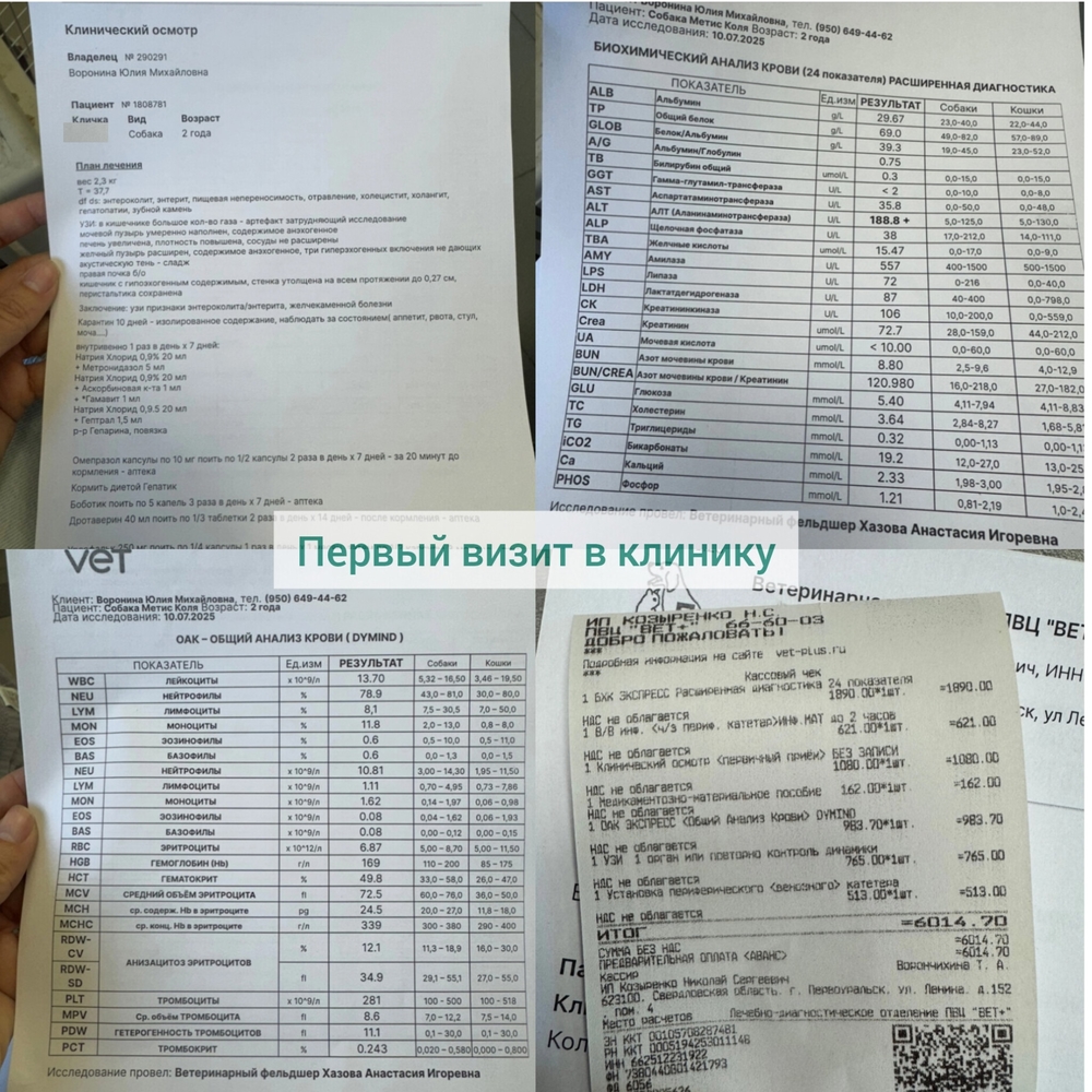 _RwQB2rXqKU3WdD0E7qPzn8lrm3tvV2G5Guxg7ug