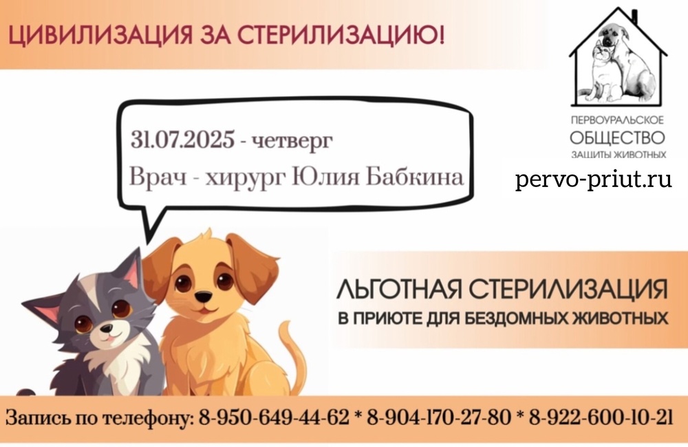 n6JubM7bNg5UlO0y2YvIDho4GMRlbJBdO5TupZVa