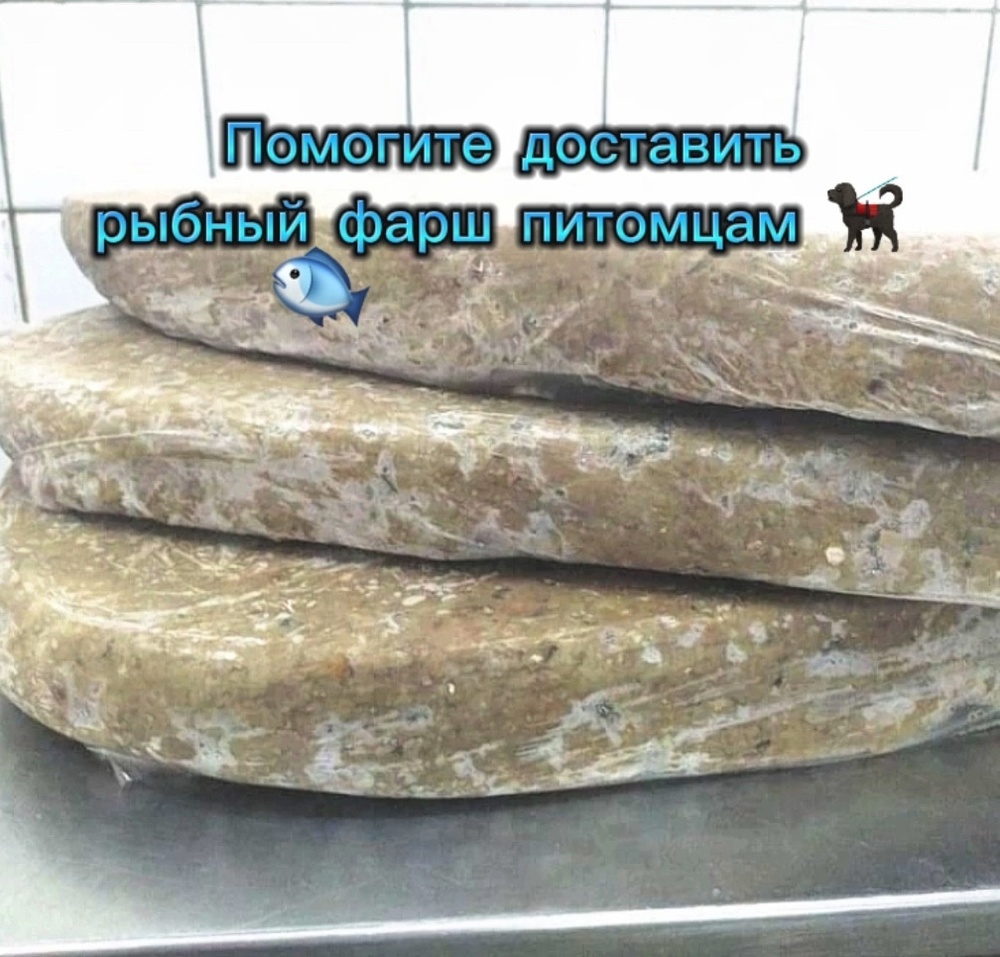 iukOp2EwQ2lKhUFZmqKenShhAvCL8GzQ3ARYHWqW