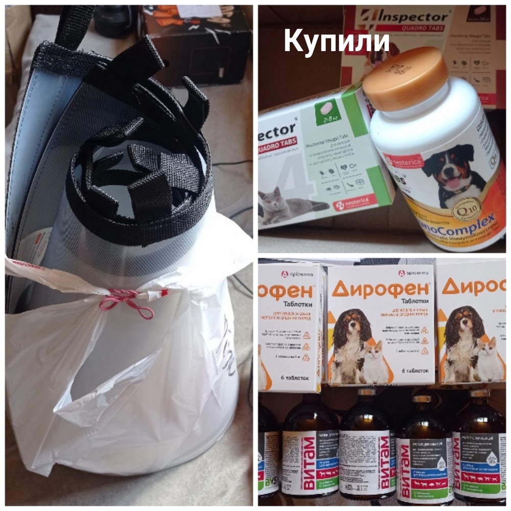 z57xqDkaCpA8sKn0jN88UF7-RC2qnQAhmKzucTLI