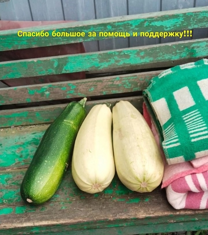 VMzVOlmvvZ7O5w3GhyZluznGMW_BjjqMWdj9I_5X