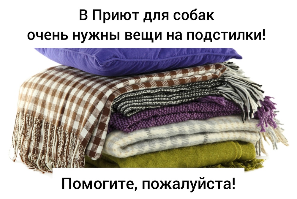 VVNvTvbvlTw7a_qEcn7P-K0Eia7DOHJ41RU2sxMe
