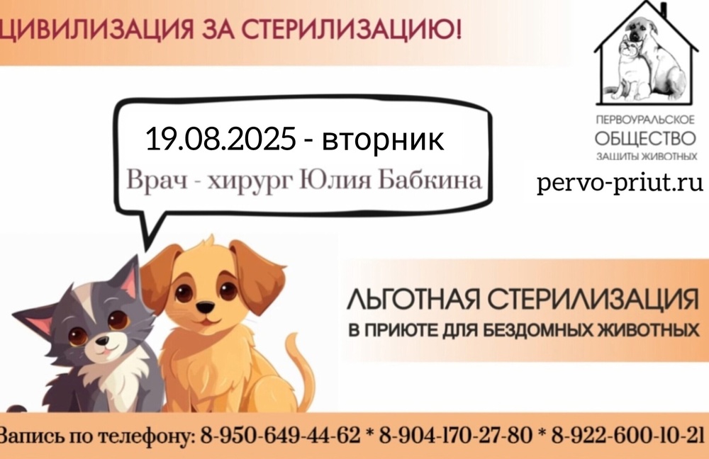 nIC-U_3badt-h39YW5EtAmiD9Ny3Vt_fUfxNimQi