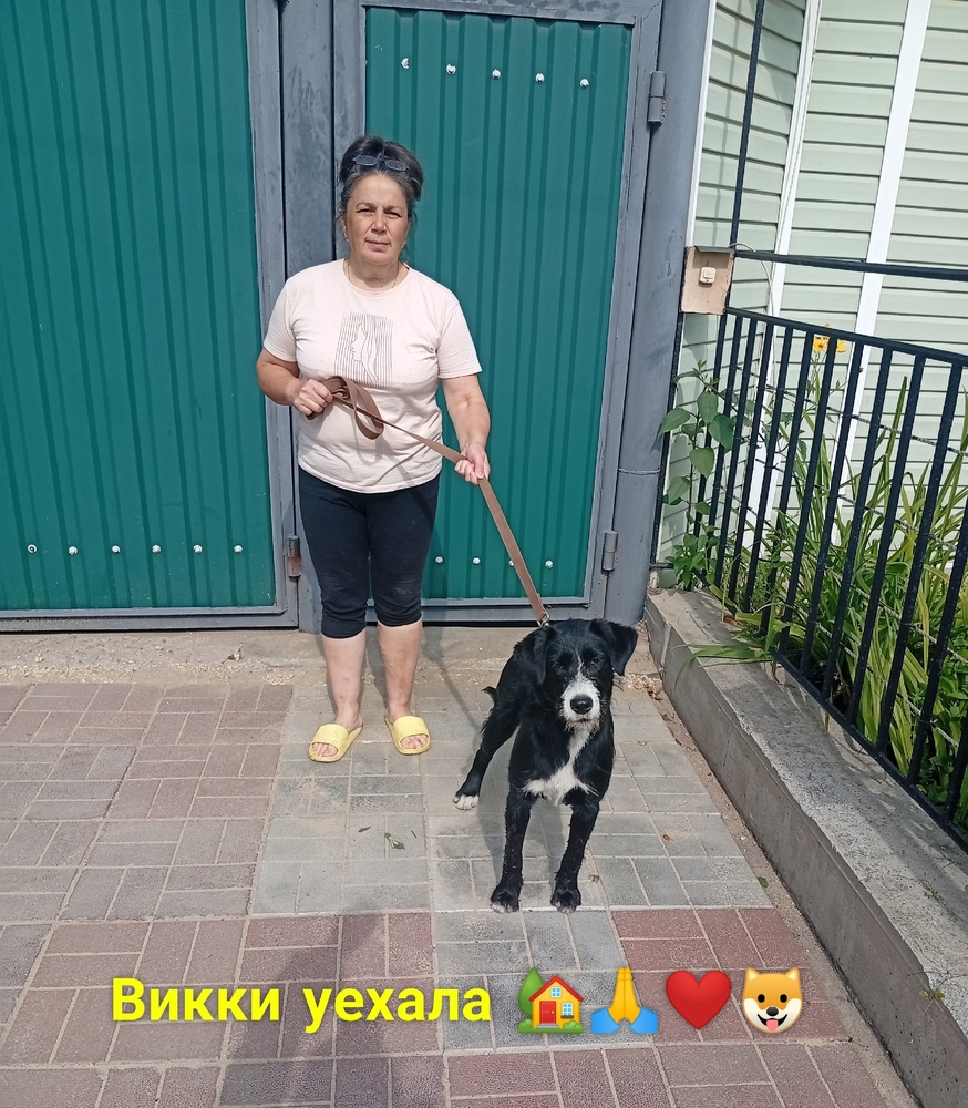 3CX7mqQSbhg6F4cAojc-xSXF5Vqsfz1Kh58ikdXU