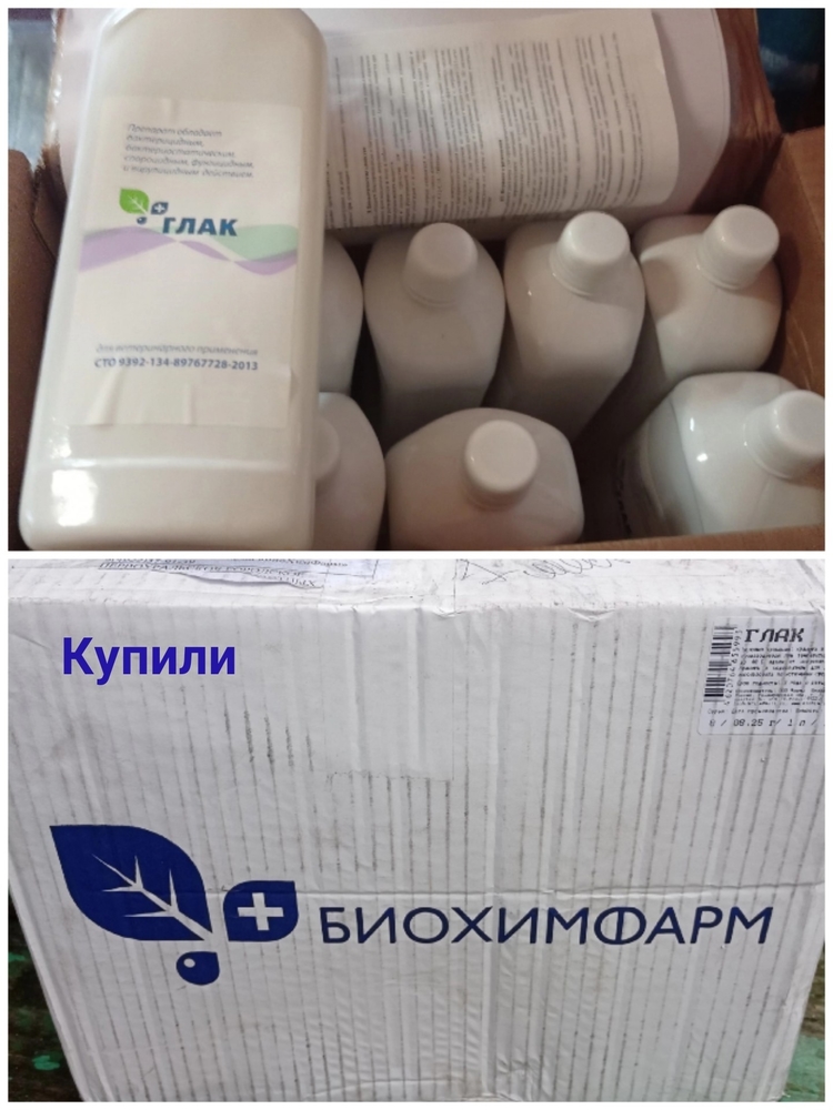 dVpbpjTIxKKKWG_fFOM7-MmMS31-Np5Ab3p09rLn