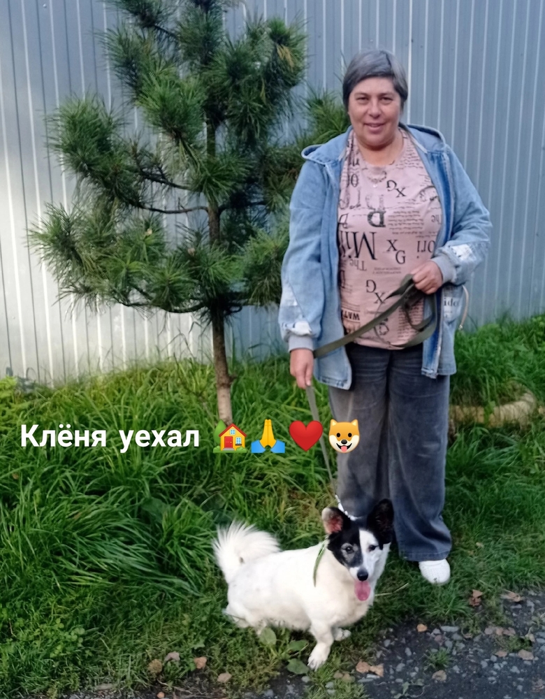 _HMizhEIU3yRTTMf_FQyNWefN8YhtjlSjqkw8eSS