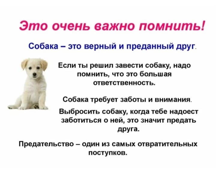 xjAim0AlEfS0jCUUXPgupVtzx2JDHsaGQ81HMA2a