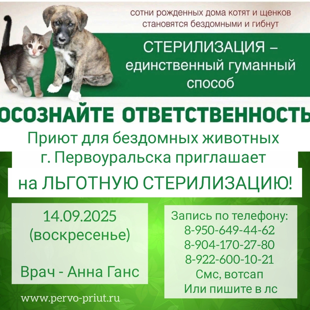 9mn3Vc6hU-GUSMTnhF_8Bi1dR3nVIkX3HkrfWSbb