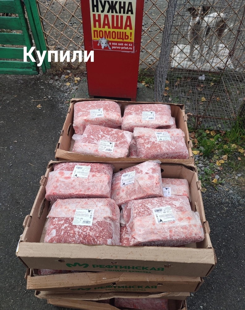 6WKPIrzfBodeYb2PAYT2E-UiLXaFg6eykIl156mm