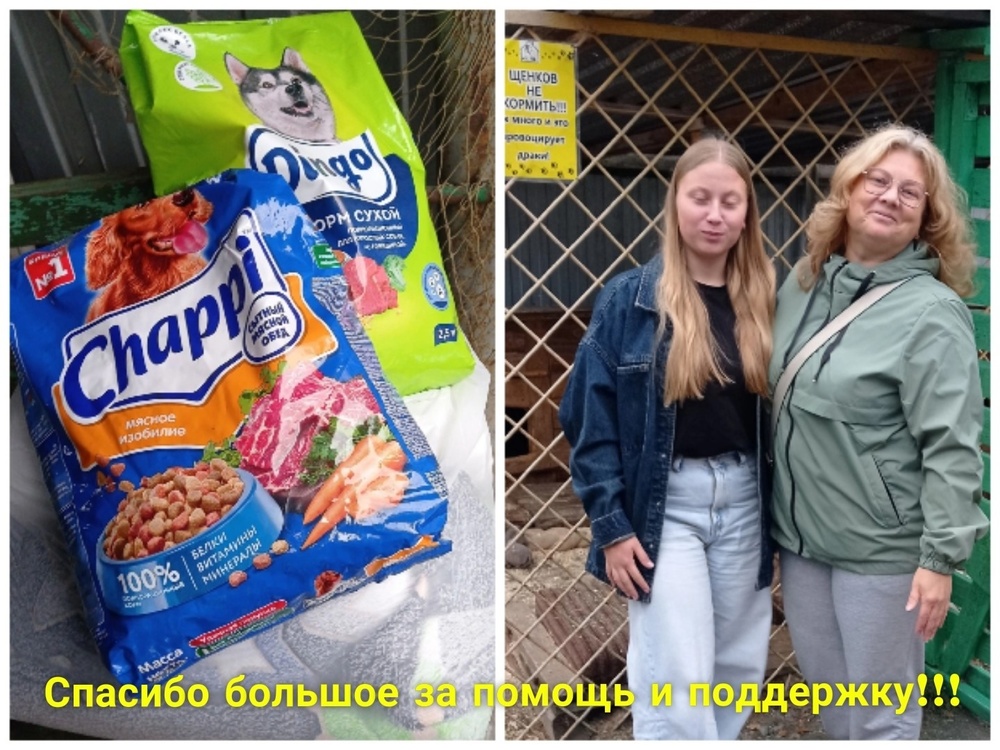 vdjmhzhnNjG4EqWGOUyGW-EDhQk7PJ9rUIOSh2Fr