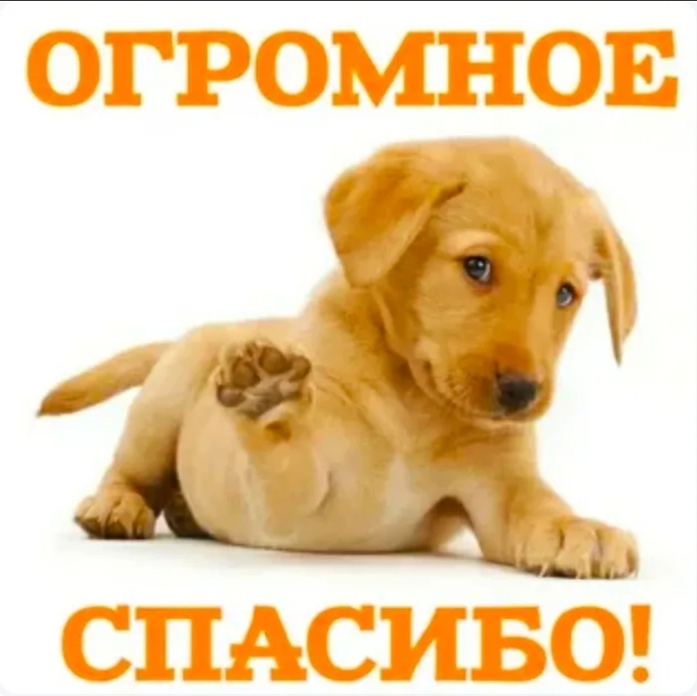 6HoVNYB1IkBh79GysZlwYYq_T_bwavUeh3Nnkd-v