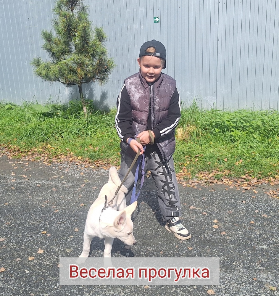 TYR2pWzzwIfFN8AXQMGOBCJPZl9yyQ9SQbABPISJ