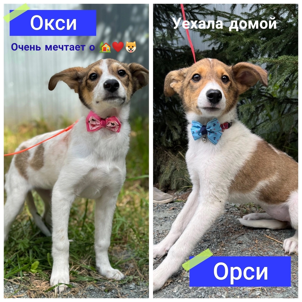 q0lsvMgkyJbYfbwDeN4783zj7XqMp5zQXzE26uN4