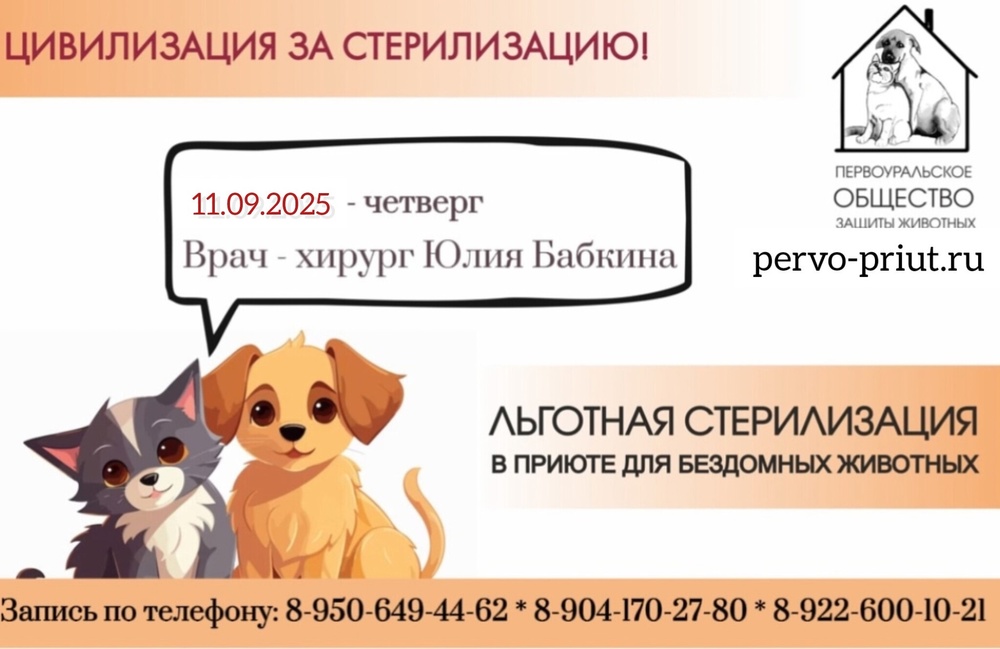 3HTMZFBrRWwsIEMw7pE_HtTxk3iYFIGiXLoU0N7D