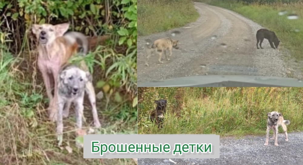fKwHeEk2r-18VV7q5ZG9lB7nA-Cv5OPl0Bu2TY2Y