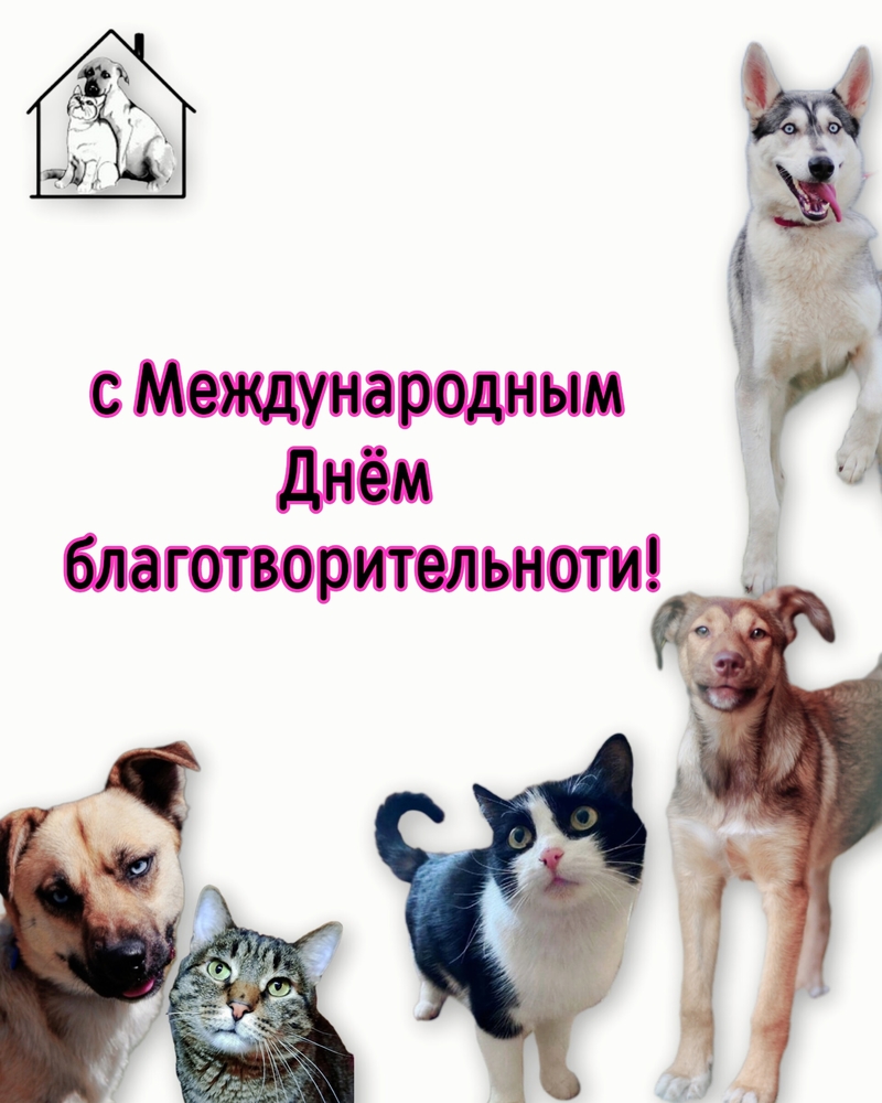 HSlmvkLIAtV5FNe2C0BFzMa5zK5CpzFqf6GaeTXD