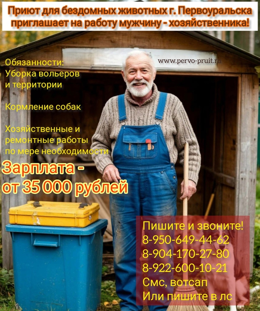 NvyRfS-9Bo1OrS_biMlB2AlKgNfcX2zRkQt5D0By