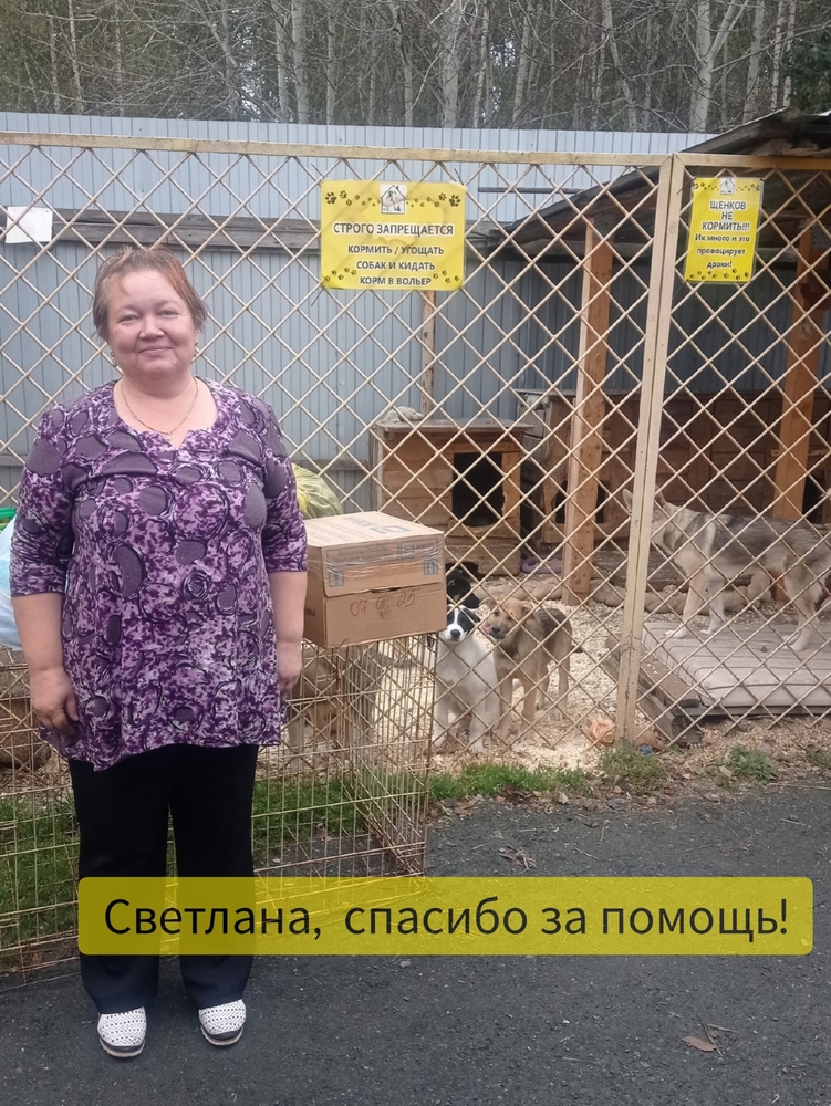 EzA6yCzNRkaW58NwloDDjr4nJw4t8LzVB4ewpu-W