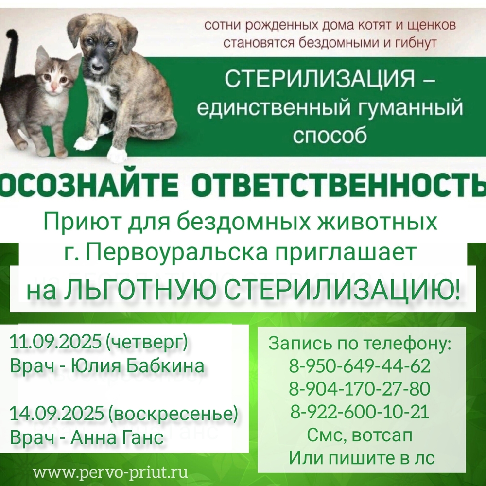 Qkd2dwCaFqyqFoxr6lisIVndpViGV8VYp-Vzoq4B
