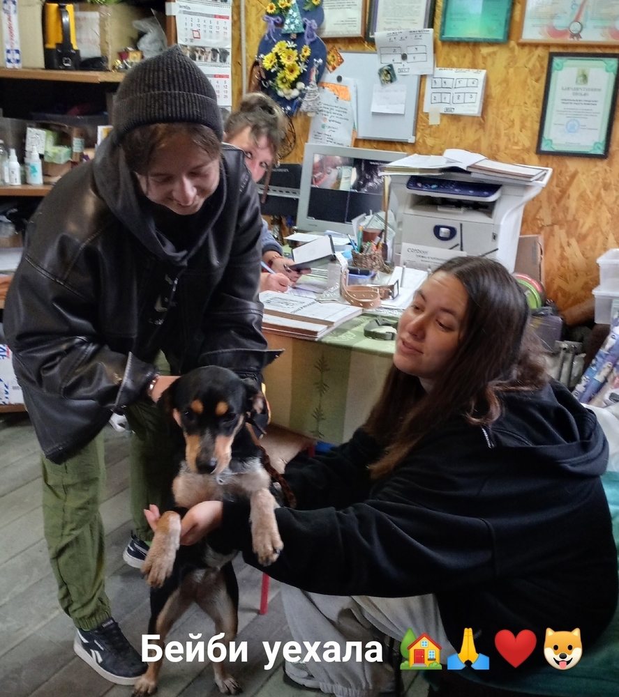 Zn_vybIk6nNqxWc0f55PYObz_ZBOGwUYIoDzk6nt