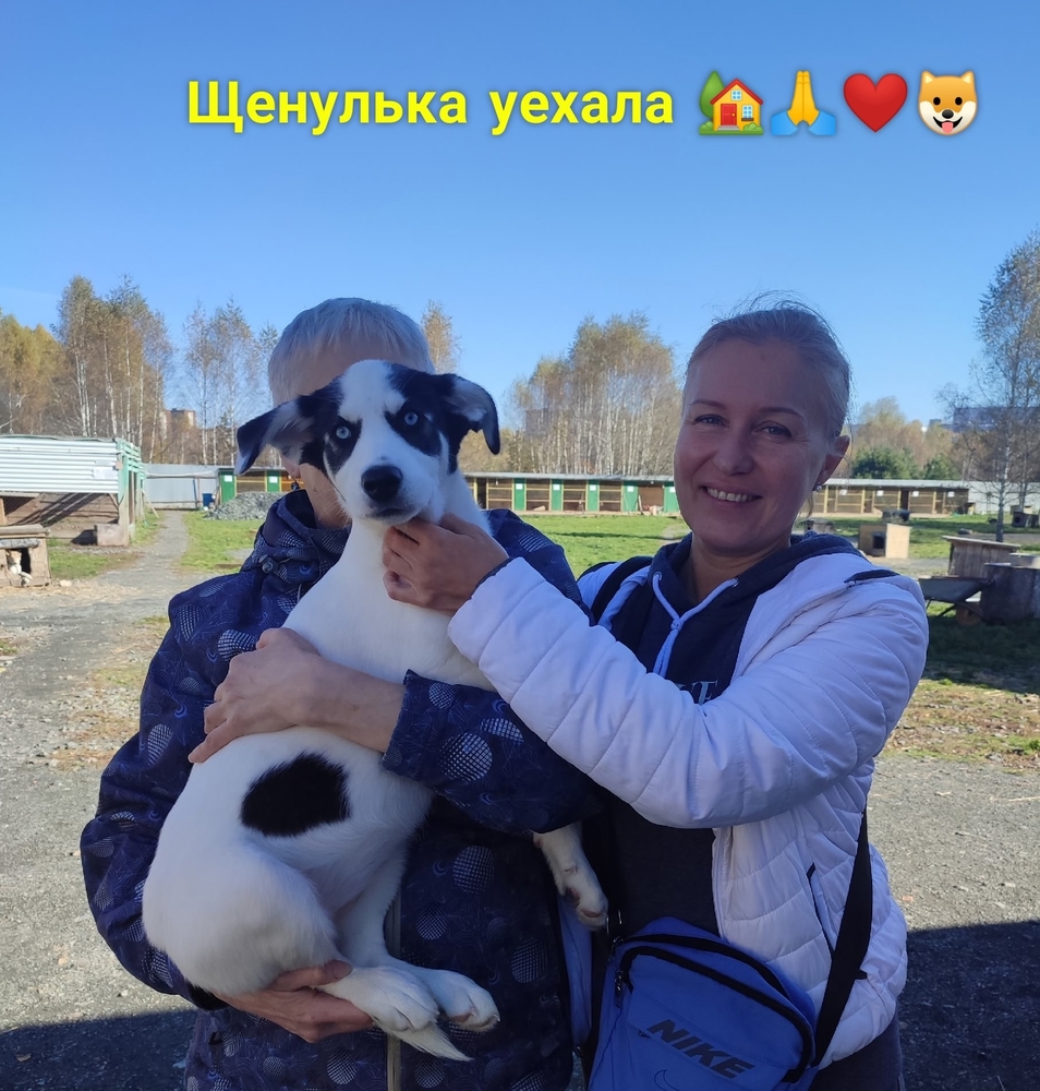 3TVOtfTzgH65GkzrmMUxW5deb4pif6ENePZ3UxpI