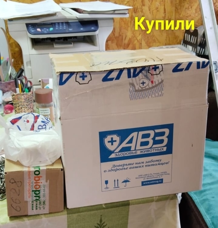 xy-Hvur_11eQBG3A1AwCc62MBbjusk5fEyg7zmy2