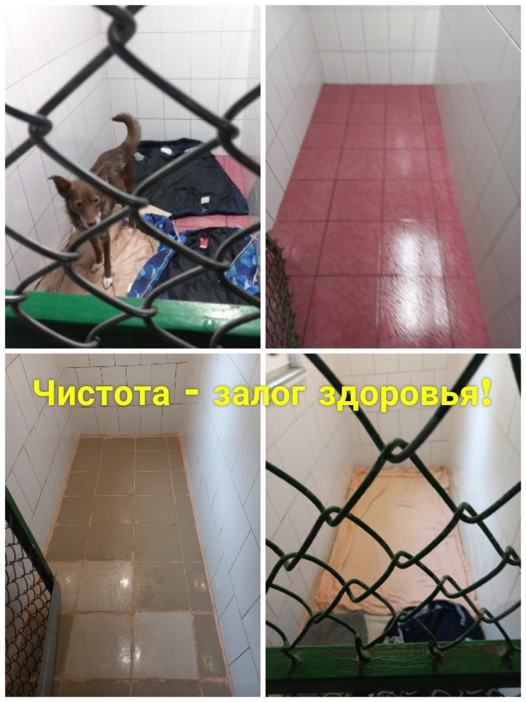S0oaqwqzAQqABl1nAqBl326v4fZtWUjpBjsEcNqp